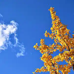 Picture for song 'Notes' by artist 'P.R Beats'