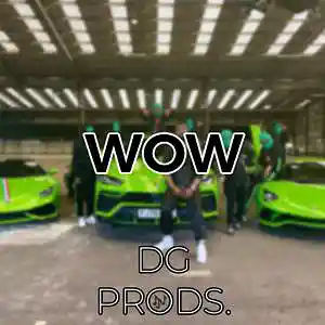 Picture for song 'DRILL - Wow' by artist 'ProdByDGProductions'