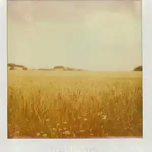 Picture for song 'ROLLING MEADOWS (Instrumental) | Quelly Music' by artist 'QUELLY MUSIC'