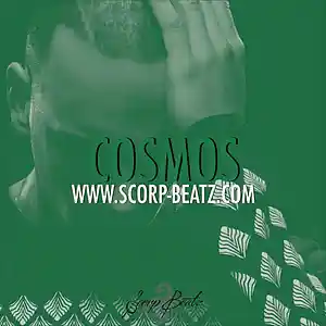 Picture for song 'SCORP BEATZ - COSMOS' by artist 'Scorp Beatz'