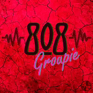 Picture for song 'Senz Beatz - 808Groupie' by artist 'Senz Beatz'