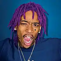 Picture for song 'Would You (Wiz Khalifa Type Instrumental)' by artist 'TeamTw1neBeatz'