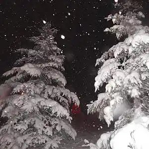 Picture for song 'Juice Wrld x Lil Keed Type Beat - Endless Winter' by artist 'WHAT?BOYBEATS'