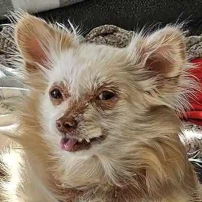 Picture for song 'That's Alright' by artist 'Dave Dunklee'