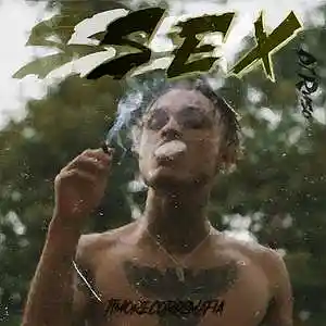 Picture for song '[FREE]Sex lil skies type beat' by artist 'DJ Ruso'