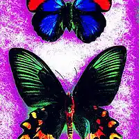 Picture for song '10 Track 10 symph 774 in 3 movements cd 270' by artist 'FranklinEMorris'