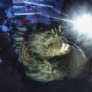 Picture for song 'Hard Trap Beat - 1ST' by artist 'kroth'