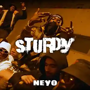 Picture for song '"STURDY" UK Drill Type Beat x NY Drill Type Beat' by artist 'neyoooo36'