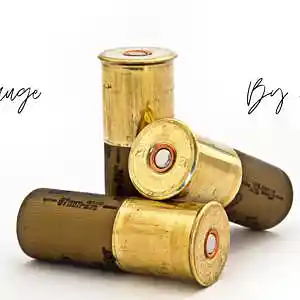 Picture for song '12 Gauge' by artist 'RSYN'