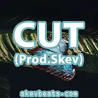 Picture for song 'Soulful Hip Hop Beat - Cut (Prod Skev)' by artist 'Skev Beats'