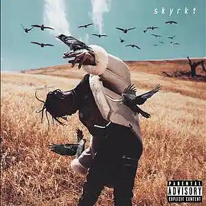 Picture for song 'Pray' by artist 'skyroc'
