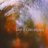 Picture for song 'Loop of Consciousness' by artist 'Sean Ferree'