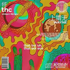 Picture for song 'thc' by artist 'wayne.prods'