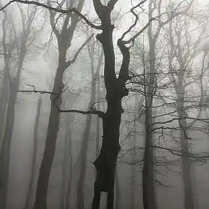 Picture for song '"Hollow" Beats for sale' by artist 'whoDeanyBeatz'