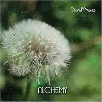 Picture for song 'Poison Berries' by artist 'David Maeso'