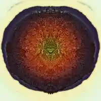 Picture for song 'Belongings' by artist 'Dead Era'