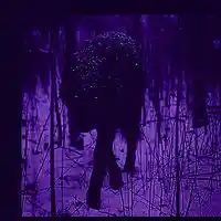 Picture for song '(NEW) The Curse ' by artist 'LEXI BANKS'