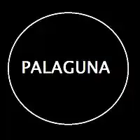 Picture for song 'Palaguna - City (Hip Hop Instrumental Rap Beat)' by artist 'Palaguna'