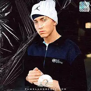 Picture for song 'RAPSODY - (Eminem Type Beat, Meek Mill Beat)' by artist 'Paweland Beats'