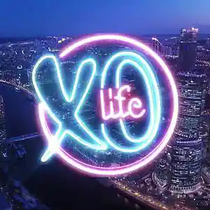 Picture for song 'XO' by artist 'MOLODOi'