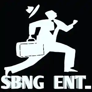 Picture for song 'How they want it' by artist 'SBNG'