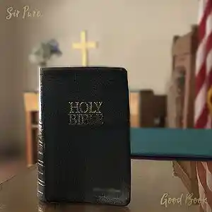Picture for song 'Good Book' by artist 'Sir Pure'
