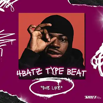 Picture for song ''She Like' - 4batz x Brent Faiyaz Type Beat' by artist 'Smooth PDC'