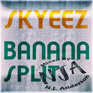 Picture for song 'Skyeez Banana Split Mixed by NJA' by artist 'Songs Mixed By NJ Anderson'
