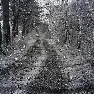 Picture for song 'TonyHamilton - Dirt Road' by artist 'TonyHamilton'