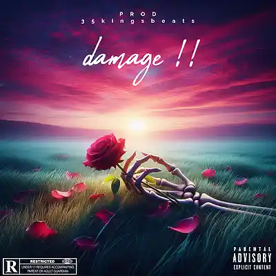 Picture for song 'damage!!!' by artist '35kbeats'