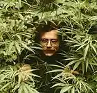 Picture for song 'Kush Diet - |HIPHOP Dr Dre/ Wiz Khalifa Type Beat' by artist 'Baybe T Productions'