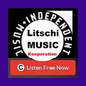 Picture for song 'LitschiMusic-Party...Kooperation' by artist 'ELECTRIC BOYs RADIO On Air'