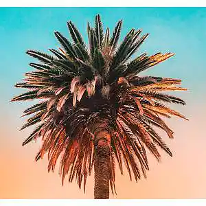 Picture for song 'DANCING AND LIGHTS / DEEP HOUSE TYPE BEAT X POP HO' by artist 'LAKKY NINJA'