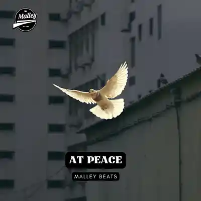 Picture for song 'AT PEACE [SAD COUNTRY RAP TYPE BEAT]' by artist 'Malley Beats'