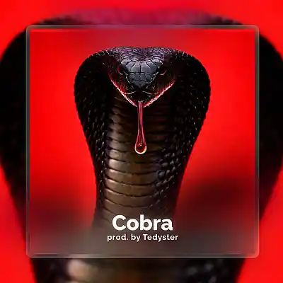 Picture for song 'Cobra' by artist 'TEDYSTER'