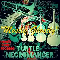 Picture for song 'Mostly Ghostly' by artist 'Turtle Necromancer'