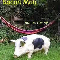 Picture for song 'MWA 08 Bacon Man' by artist 'martin stirrup'