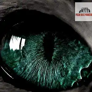 Picture for song 'Look At It' by artist 'Precise Beatz'