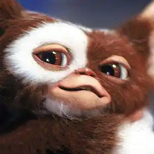 Picture for song 'Gremlins Theme' by artist 'Previous Signs of Decay'