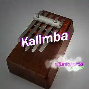 Picture for song 'Kalimba * trap beat 145 bpm' by artist 'Skunky Prod Beatmaker'