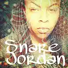 Picture for song 'Pow 11-18-13' by artist 'Snare Jordan'