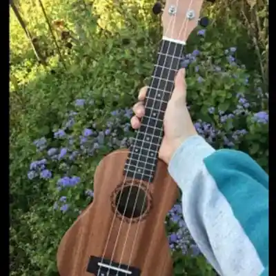 Picture for song '(Sold) Acoustic Ukulele x Corrido Tumbado - Playa' by artist 'Stc Beats VB'