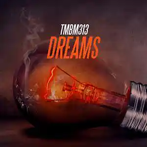 Picture for song 'Dreams' by artist 'TMBM313'