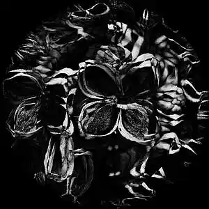 Picture for song 'LILAC.' by artist 'YOTSUE'