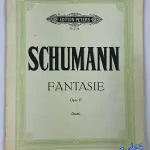 Picture for song 'Fantasie Opus 17.3 (short)' by artist 'Bob Forbes'