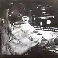 Picture for song 'Kanye West - Can't Tell Me Nothing (REMIX)' by artist 'Burbank 1983'