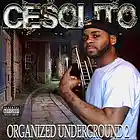 Picture for song 'SMASH UP THE SCENE!' by artist 'Cesolito'