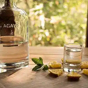 Picture for song 'Mexican Jail' by artist 'Chris Baker'