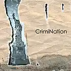 Picture for song 'CrimiNation' by artist 'Elle Madelyn'