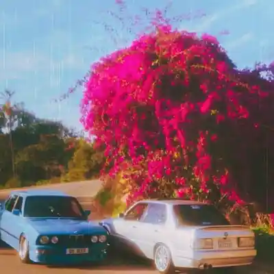 Picture for song 'Sprinklers' by artist 'Frequency Overflow'